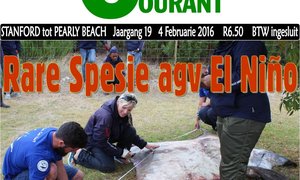 Rare Spesie agv El NiÃ±o